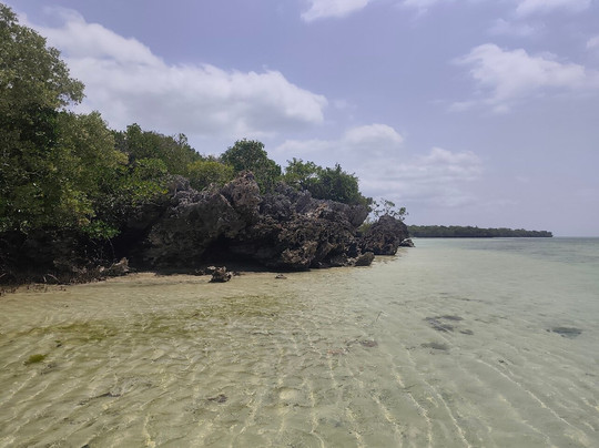 Ethical Dolphin Tours - Kizimkazi, Zanzibar-Kizimkazi必去景点