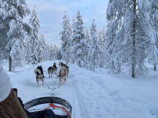 Arctic Circle Husky Park-罗瓦涅米必去景点