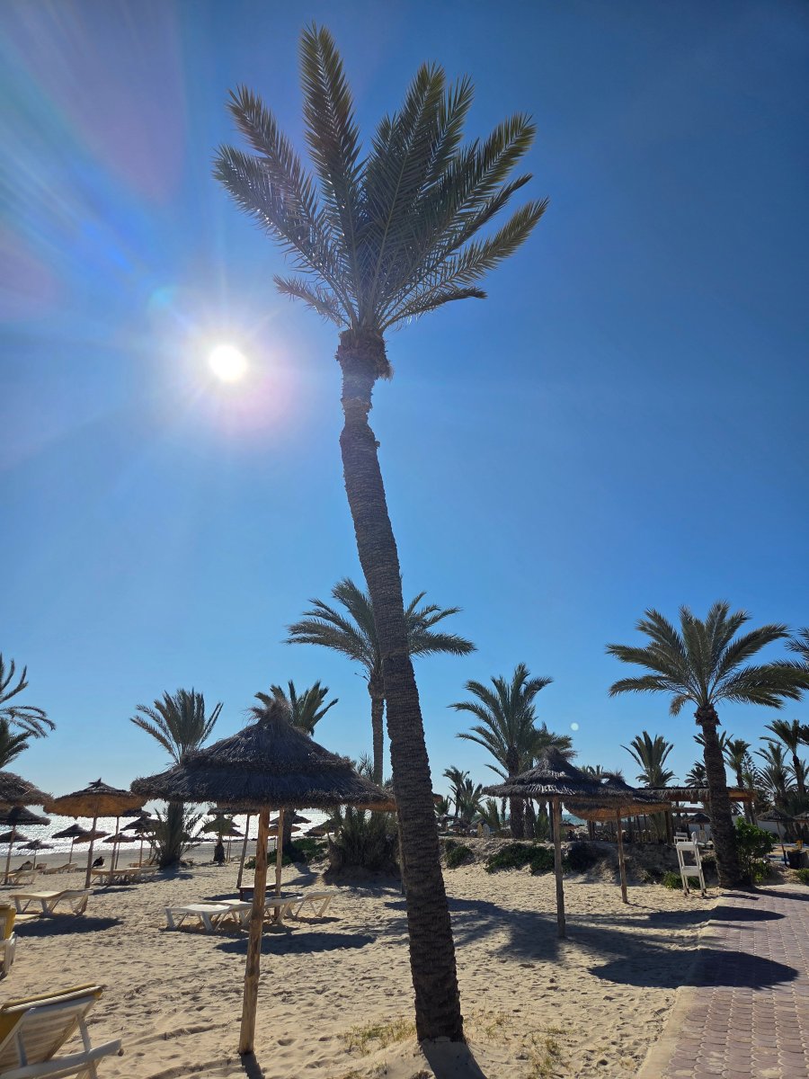 吉尔巴岛温里克海水浴度假村-泳池