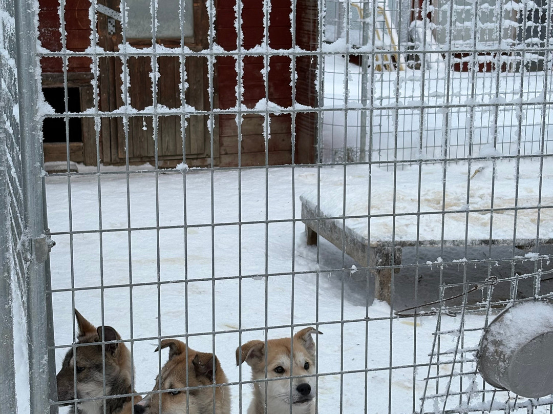 Wolf Trail-罗瓦涅米必去景点