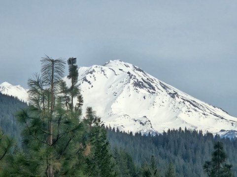 The Inn at Shasta Lake-官方