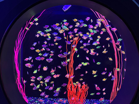 Acuario Michin Guadalajara-瓜达拉哈拉必去景点