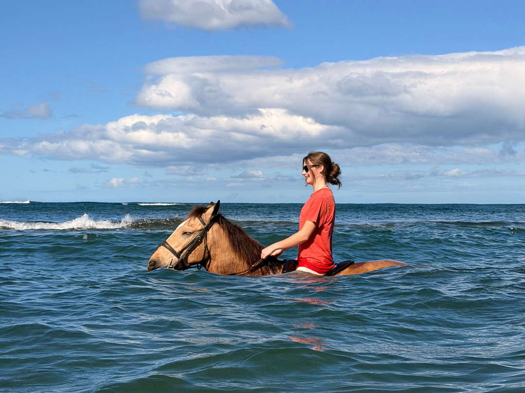 Mirador Equestrian-Playa Avellanas必去景点