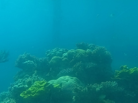Underwater Observatory Marine Park-埃拉特必去景点