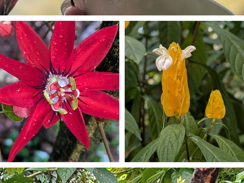 World Evasion-圣何塞必去景点