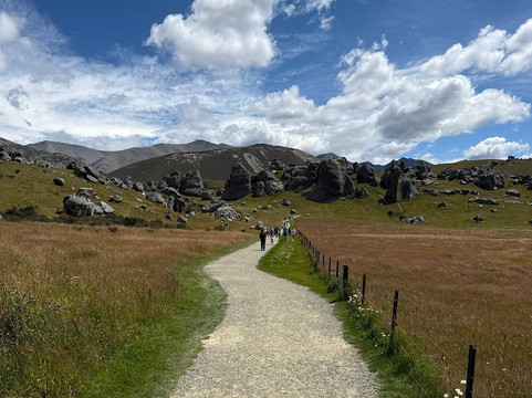 Wild Kiwi Tours-奥克兰中心地区必去景点