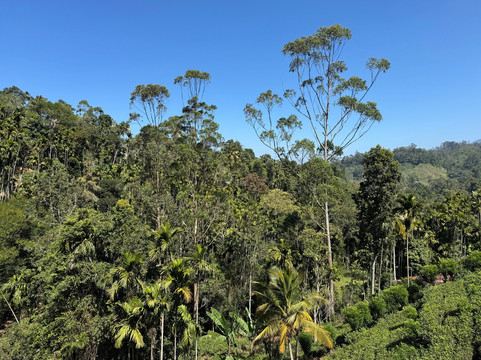 Elgant Island Tours-Katana必去景点