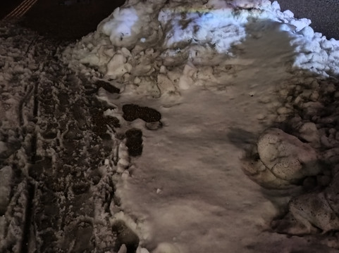 新泻多美迎天然温泉酒店(多美迎・御宿野乃 酒店集团)主图