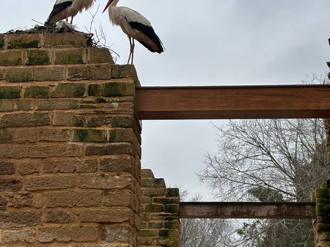 Chellah Rabat-拉巴特必去景点