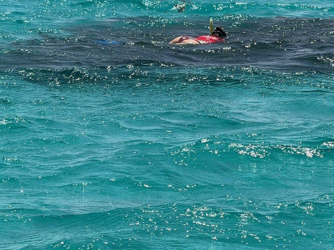 Belinda Boat Tour-贝尔马尔必去景点