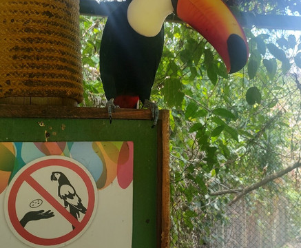 Animália Park-Cotia必去景点