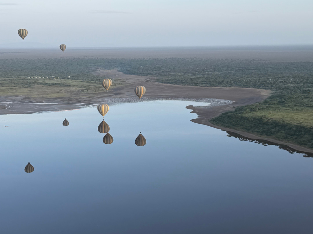 Nyssa Balloon Safaris-Seronera必去景点