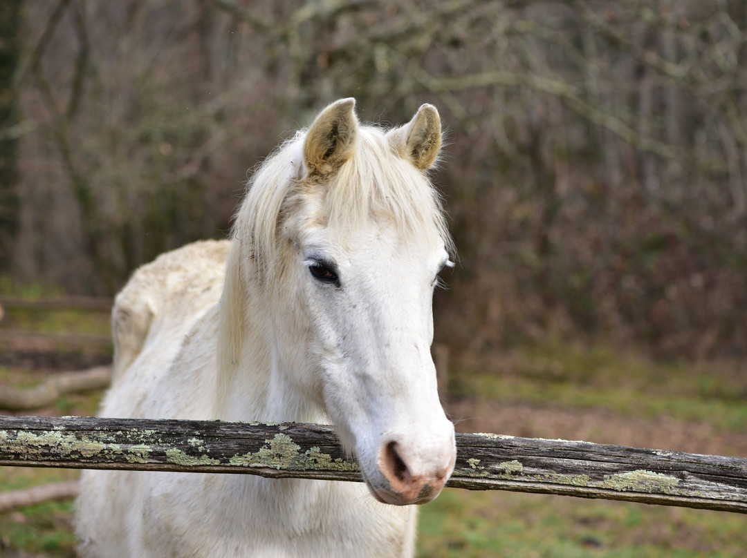 泰努塔瓦尔多米尼农家乐主图