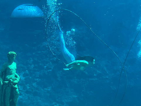 Weeki Wachee Springs State Park-Spring Hill必去景点