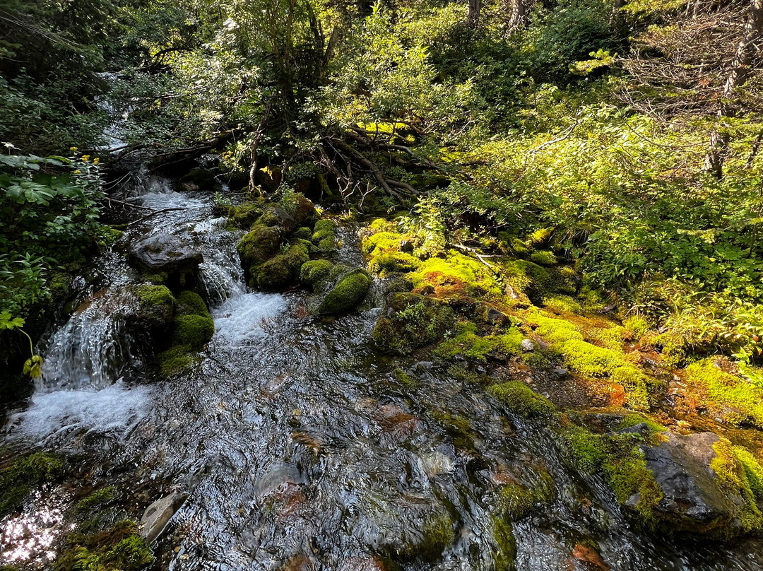 Uplift Adventures-科尔曼必去景点