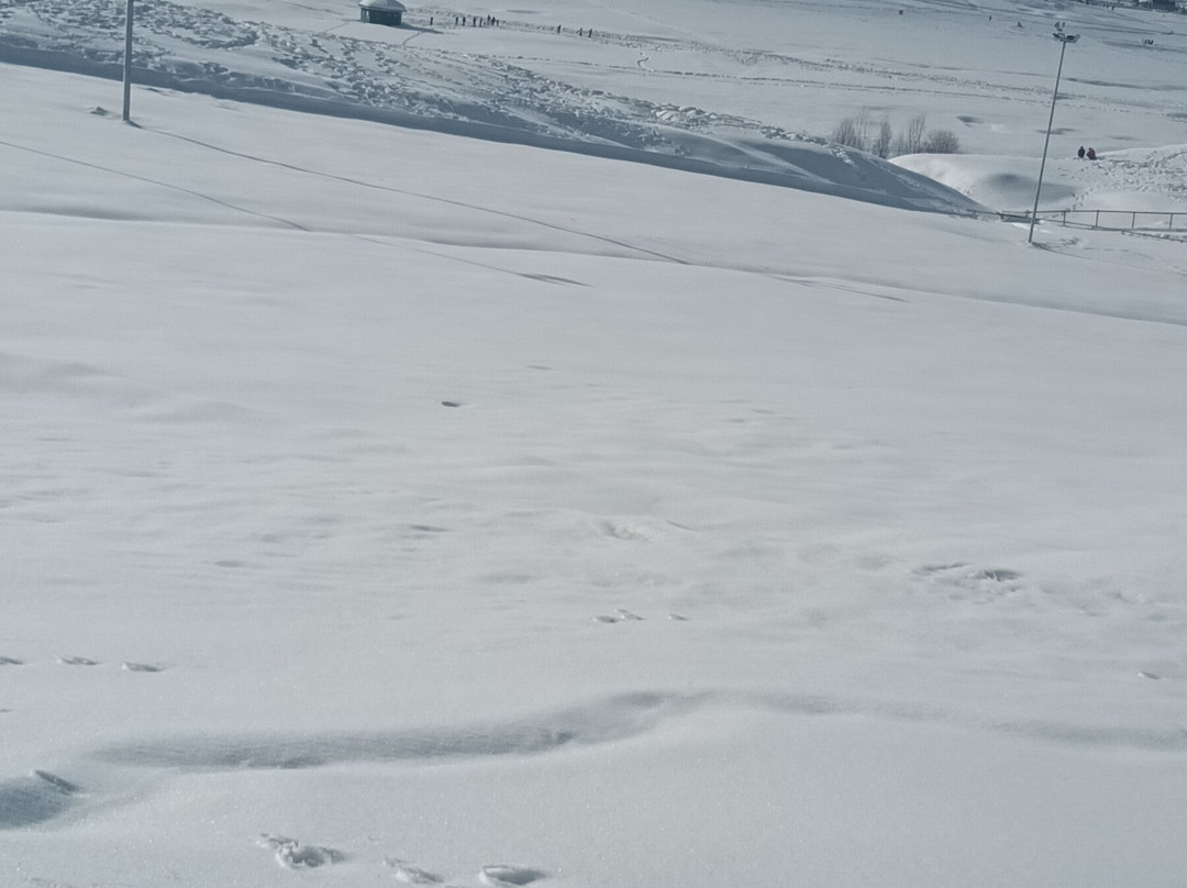 Hangout Holidays-斯利那加必去景点