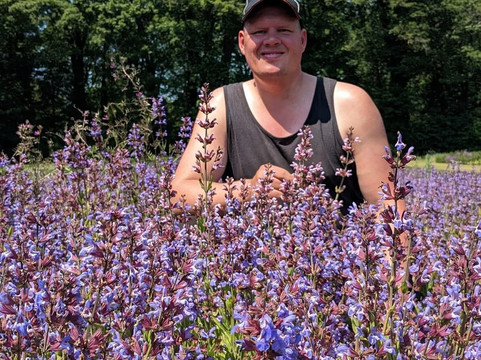 A.Vogel Tuinen-'t Harde必去景点