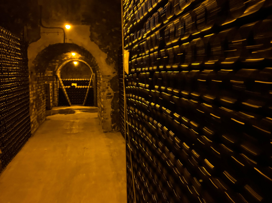 Champagne Gardet-Chigny les Roses必去景点