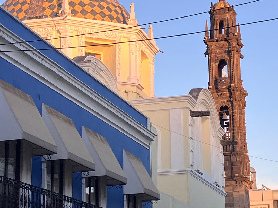 Estacion Mexico Free Tours-墨西哥城必去景点