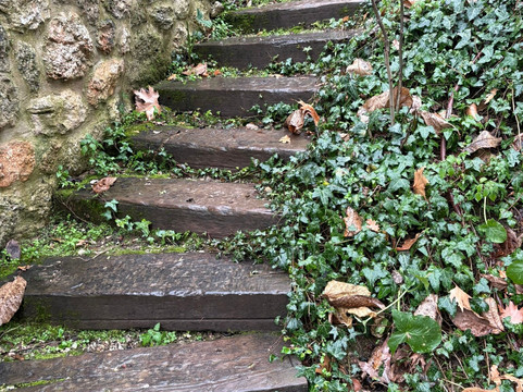 Area Synest - All Day Nature-Egira必去景点