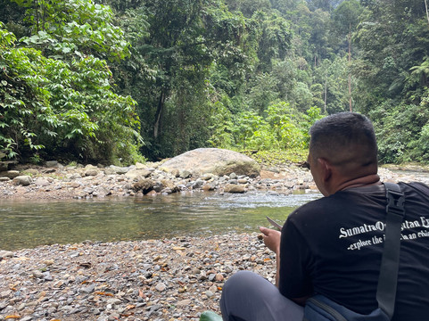 Sumatra Orangutan Explore-武吉拉旺必去景点