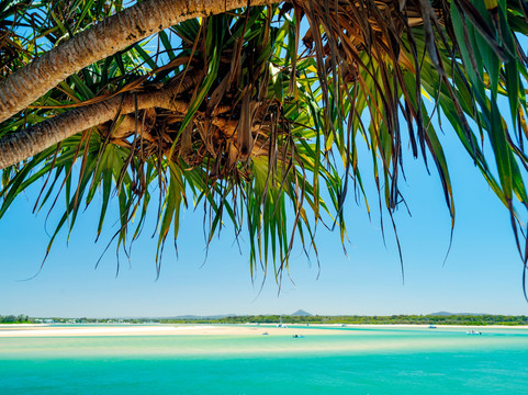 Sunshine Coast Private Transfers-努沙必去景点