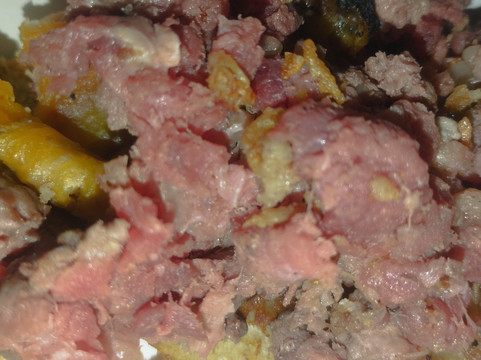 Território Selvagem Canoar-Brotas必去景点