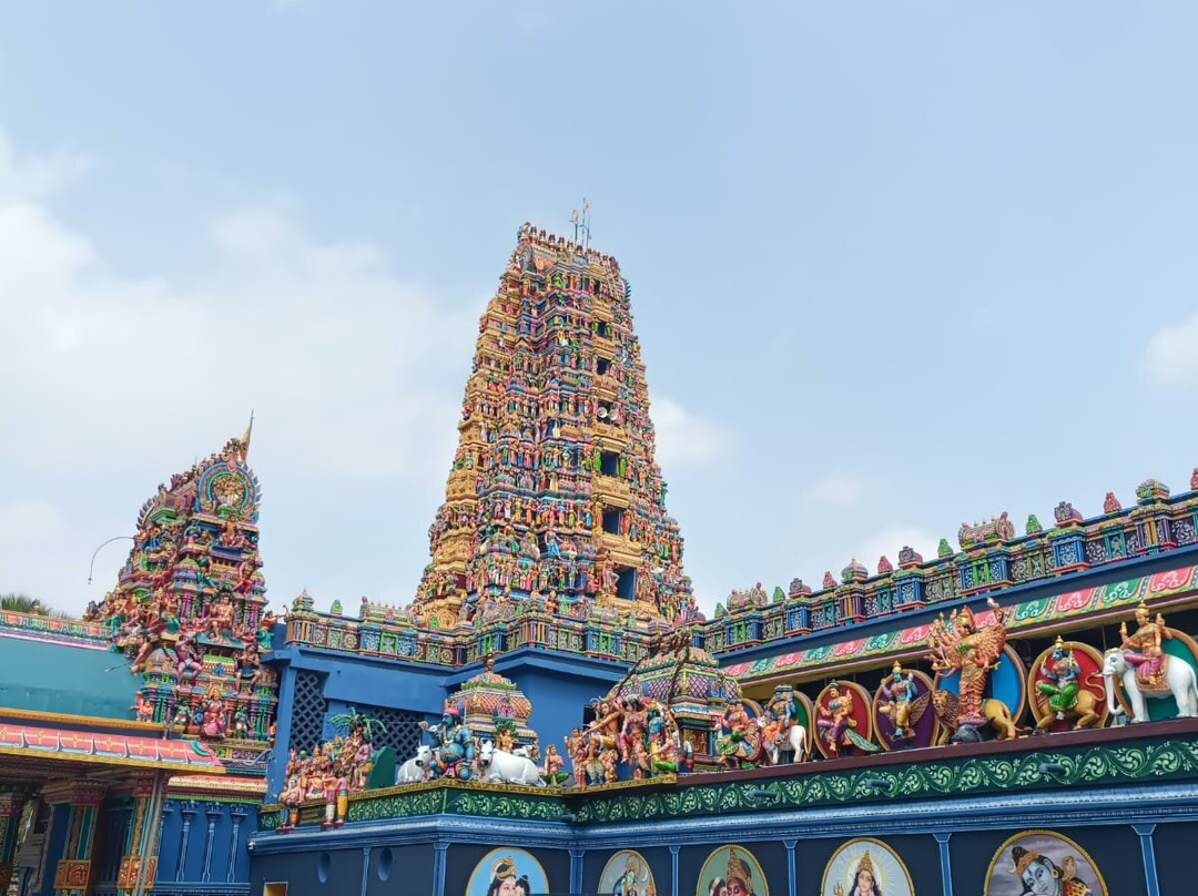 Luster Blue Tours-加勒必去景点