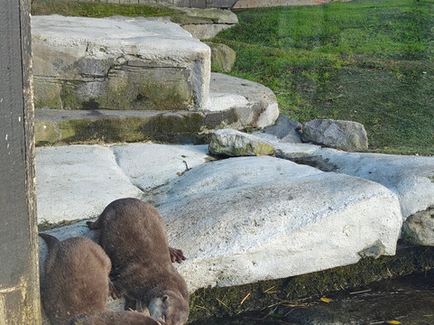 Sea Life Blankenberge-布朗肯堡必去景点