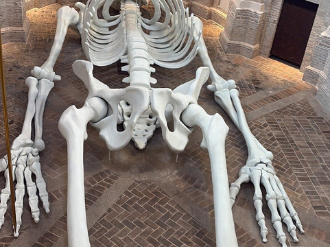 Calamita Cosmica - Centro Italiano Arte Contemporanea-福利尼奥必去景点