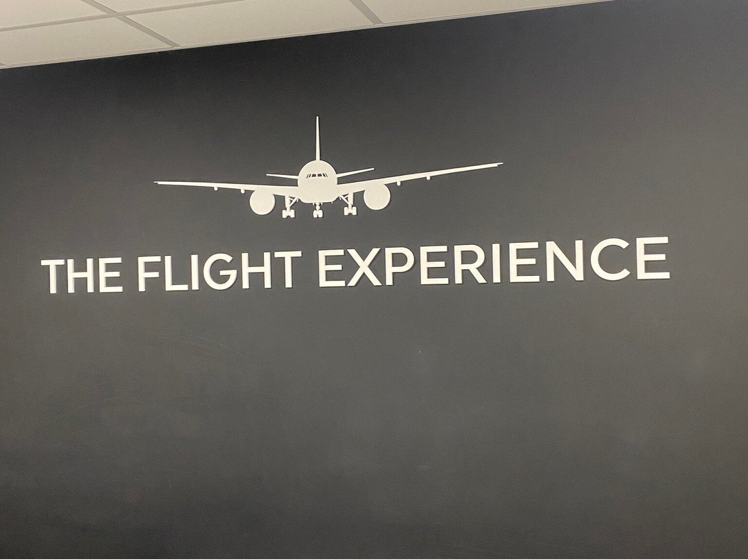 The Flight Experience-纽卡斯尔必去景点