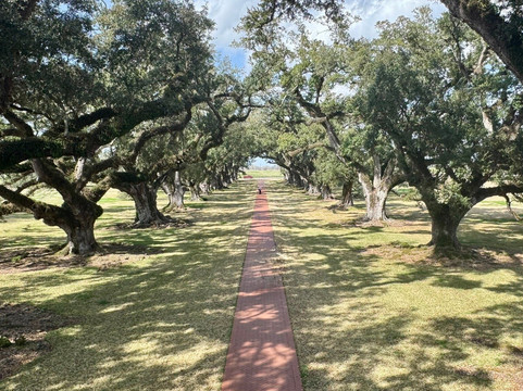 Louisiana Tour Company-Crown Point必去景点