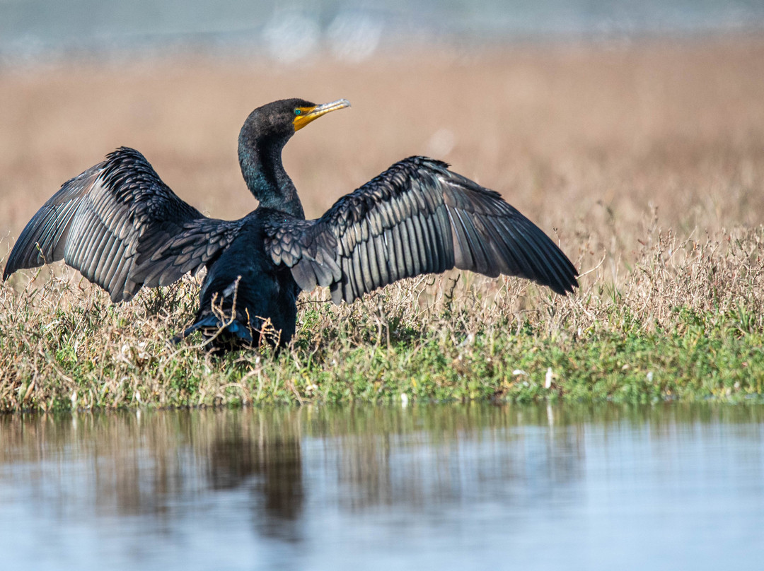 Central Coast Outdoors-莫罗贝必去景点