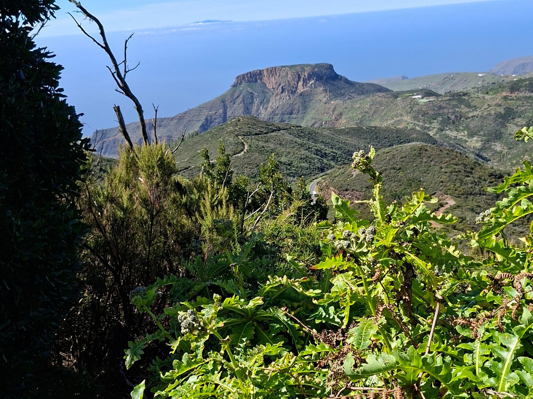 Ipalan Hiking Guided Tour-阿拉赫罗必去景点
