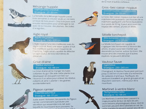 Tourrettes-sur-Loup - Village Medieval-Tourrettes-sur-Loup必去景点