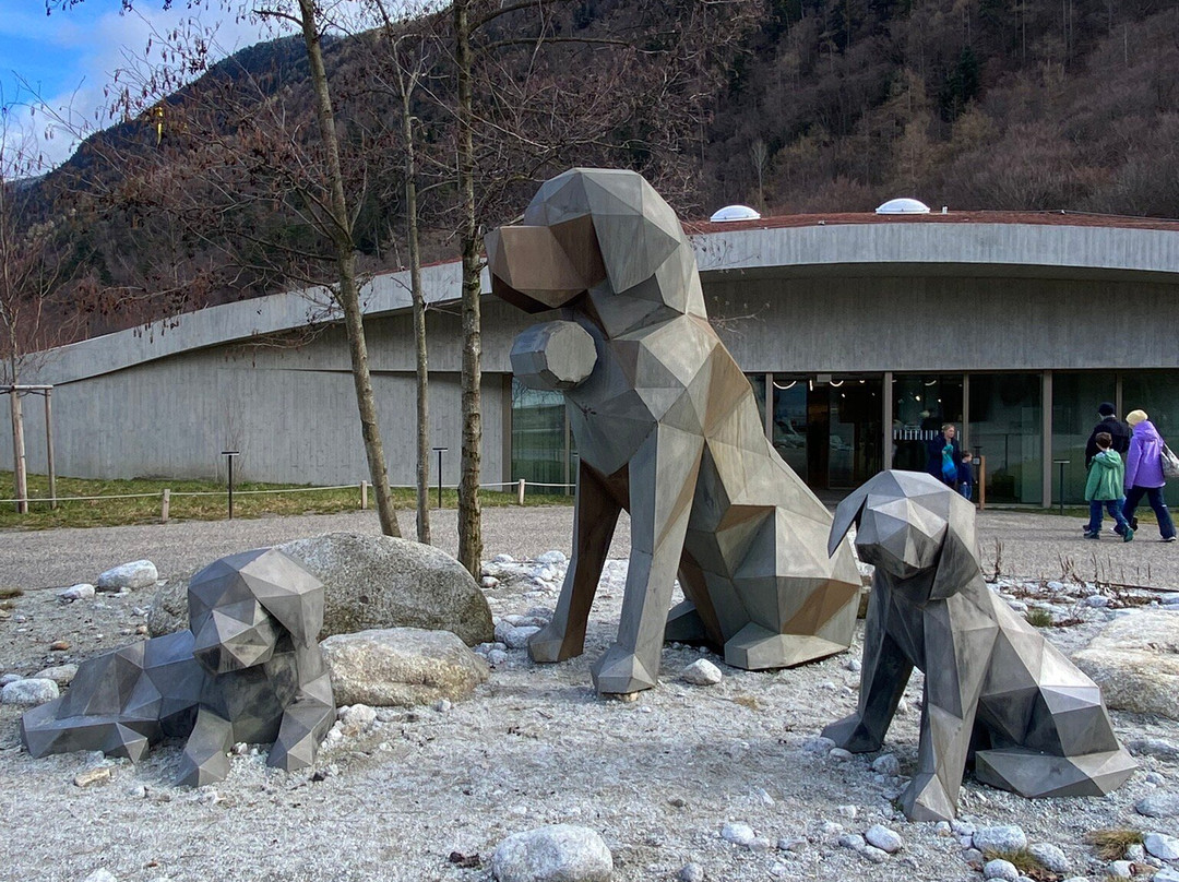Barryland - Musée et chiens du St-Bernard-马蒂尼必去景点