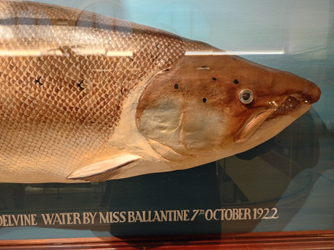 Perth Museum-珀斯必去景点