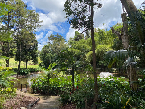 The Big Pineapple-Nambour必去景点