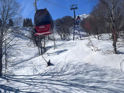 Hotel Silverhorn主图