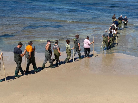 Dive Tatapouri-Gisborne Region必去景点