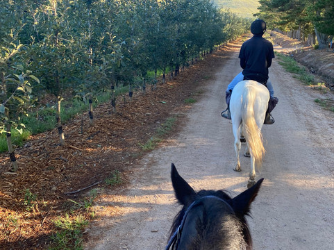 Heaven and Earth Trails-赫曼努斯必去景点