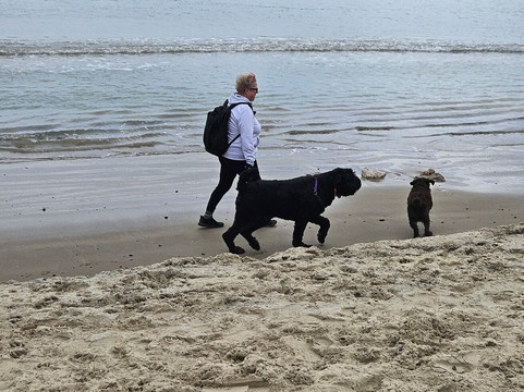 韦茅斯海滩-韦茅斯必去景点