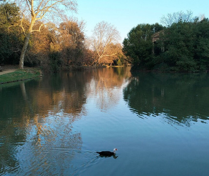 Villone Puccini-皮斯托亚必去景点