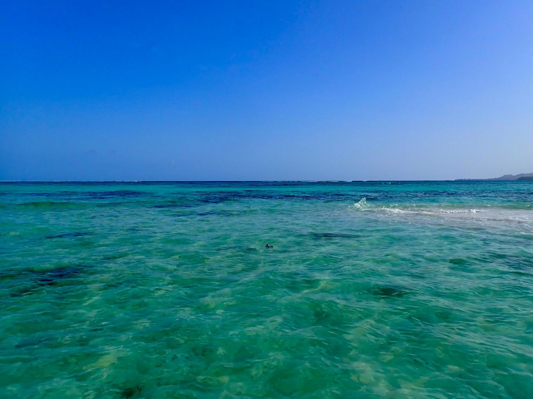 Stand Up Paddle Tobago-Canaan必去景点