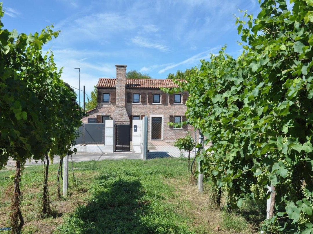 Casa Sansovino