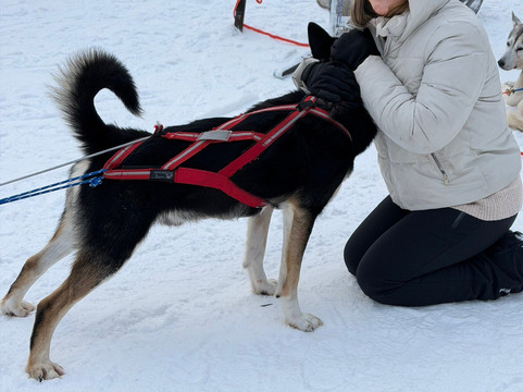 Soulmate Huskies-Pello必去景点