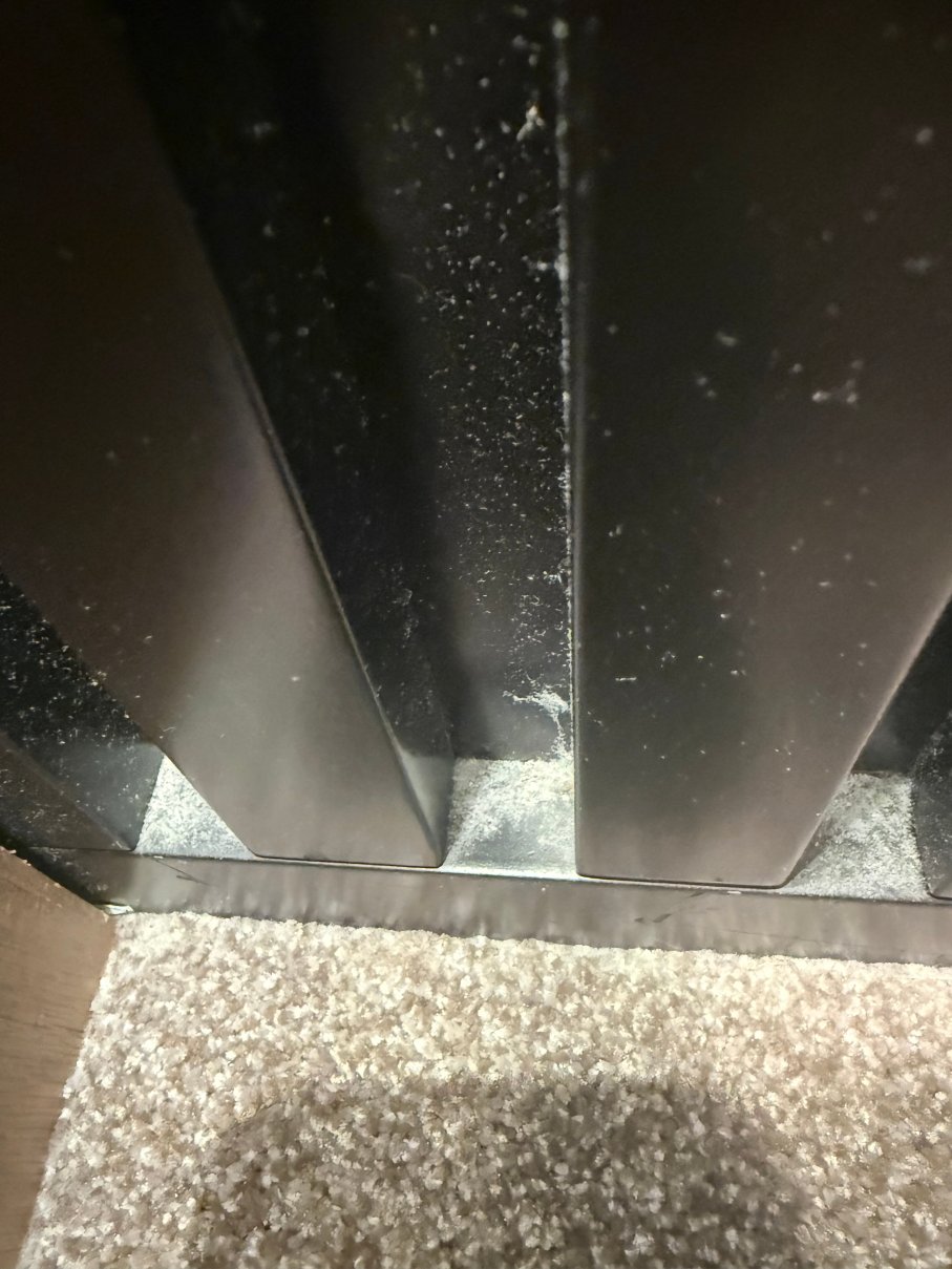 尤尼维斯金色郁金香酒店-客卧