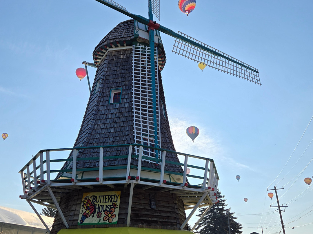Windmill Garden Centre and Butterfly House-梅迪辛哈特必去景点