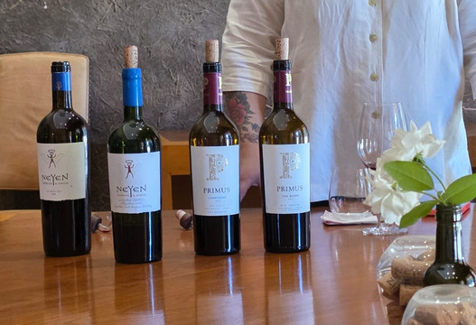 Viña Neyen de Apalta-圣克鲁斯必去景点