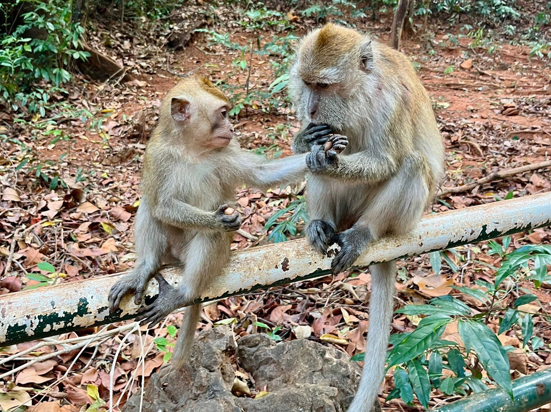 Wave Quest Watersport-中央海滩必去景点